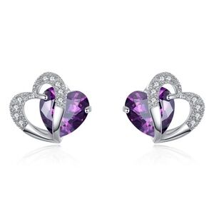 *ALLYN* Silver x Purple Fashion Stud Earrings